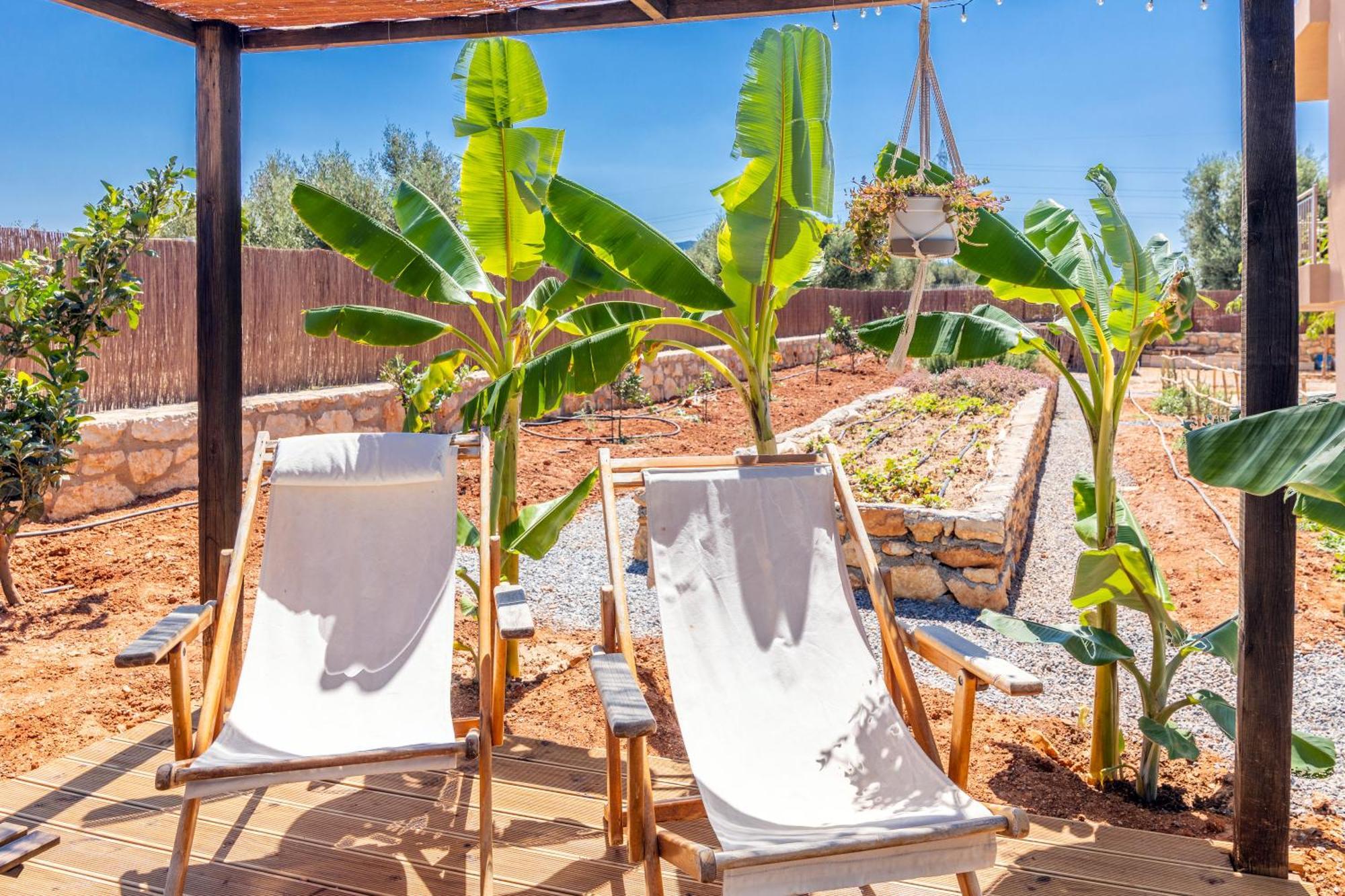 Γηorganic Farm And Houses. Hersonissos  Exterior photo