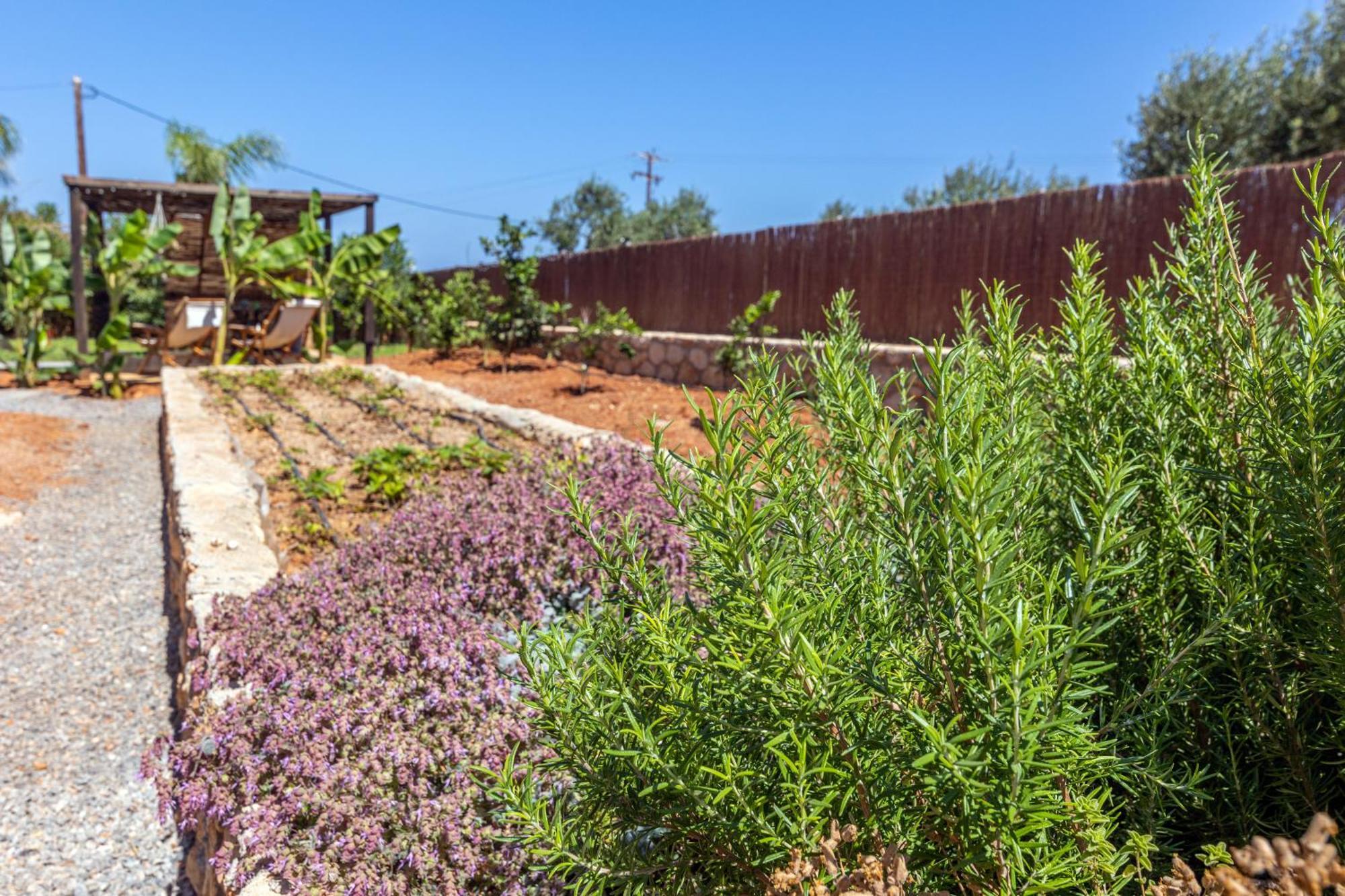 Γηorganic Farm And Houses. Hersonissos  Exterior photo